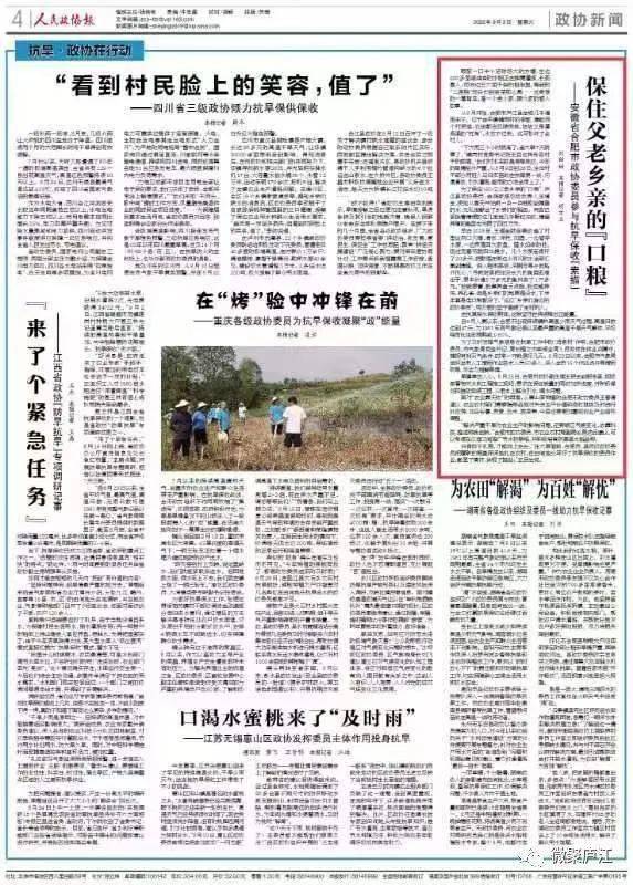 丹东一句定三码正版图库，揭秘背后的故事与重要性