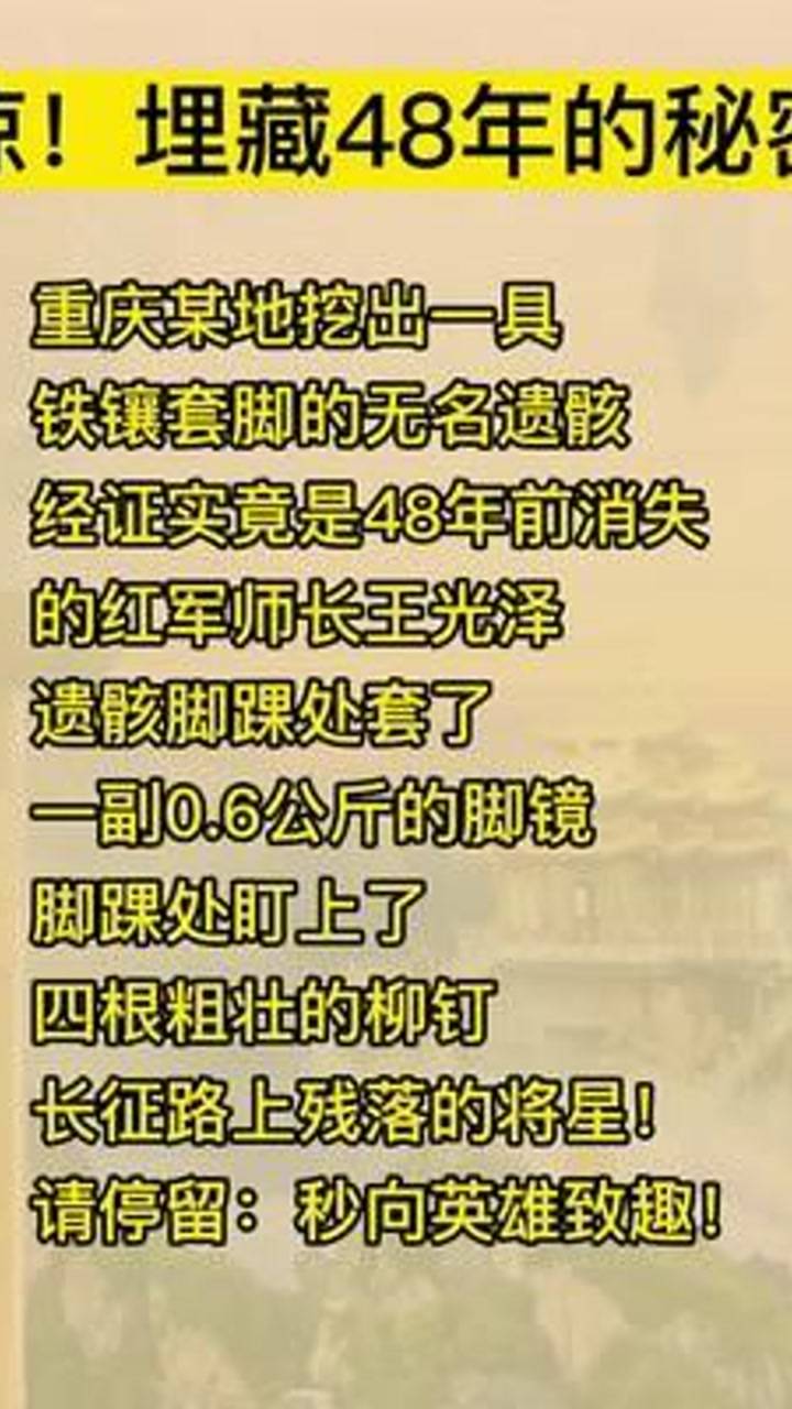 正版铁人铁胆福彩3D图谜，探索神秘的世界