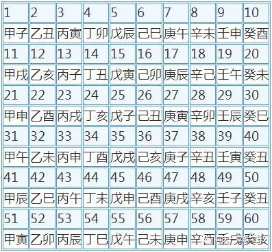 揭秘49码出特计算公式