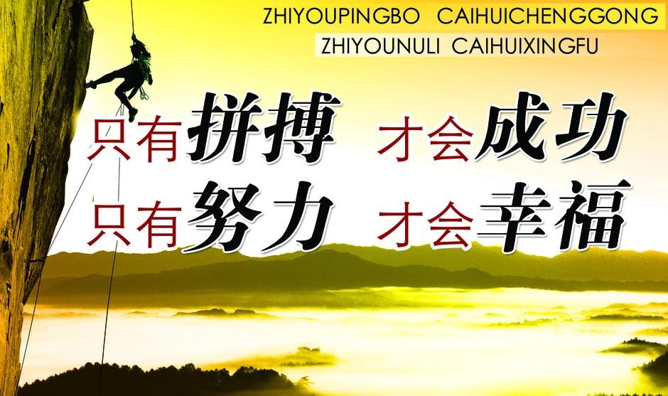 中国体彩竞彩网官网计算器，探索体育彩票的智能化新世界