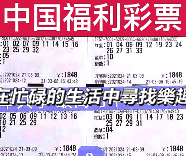 双色球今日开奖号码查询结果揭晓，幸运与期待交织的时刻