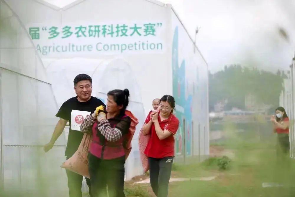 会计信息网官方网，连接你我，共创数字化会计时代的新篇章