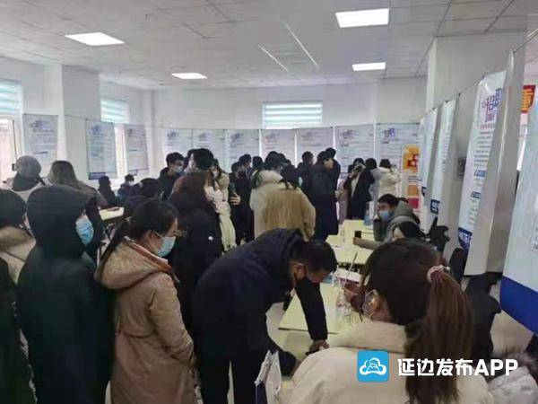 珲春最新招聘信息，探寻职业发展的黄金机会