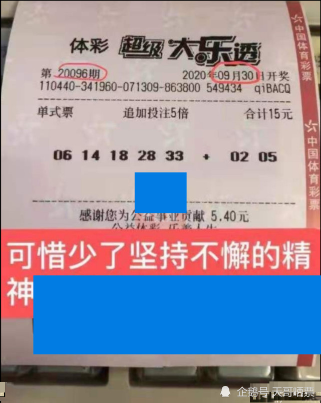 大乐透开奖历史页，揭示幸运背后的故事