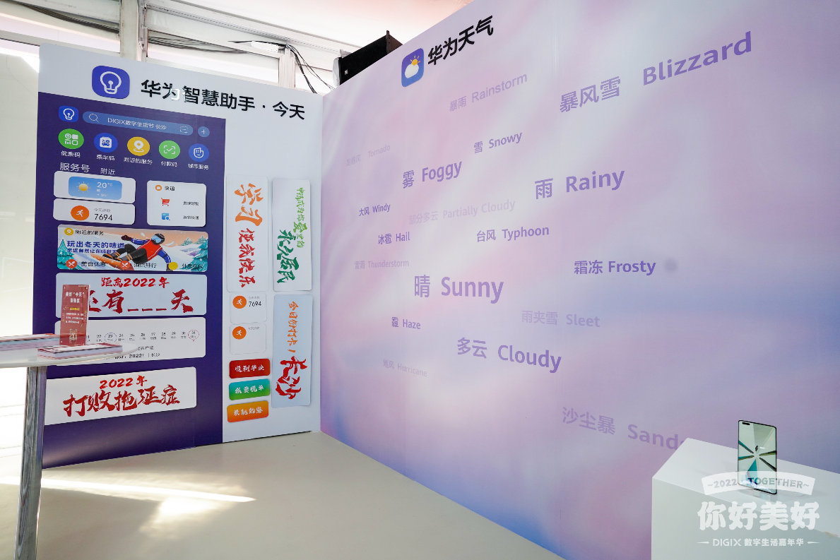 天齐网3D首页，正版便民，开启数字生活新篇章