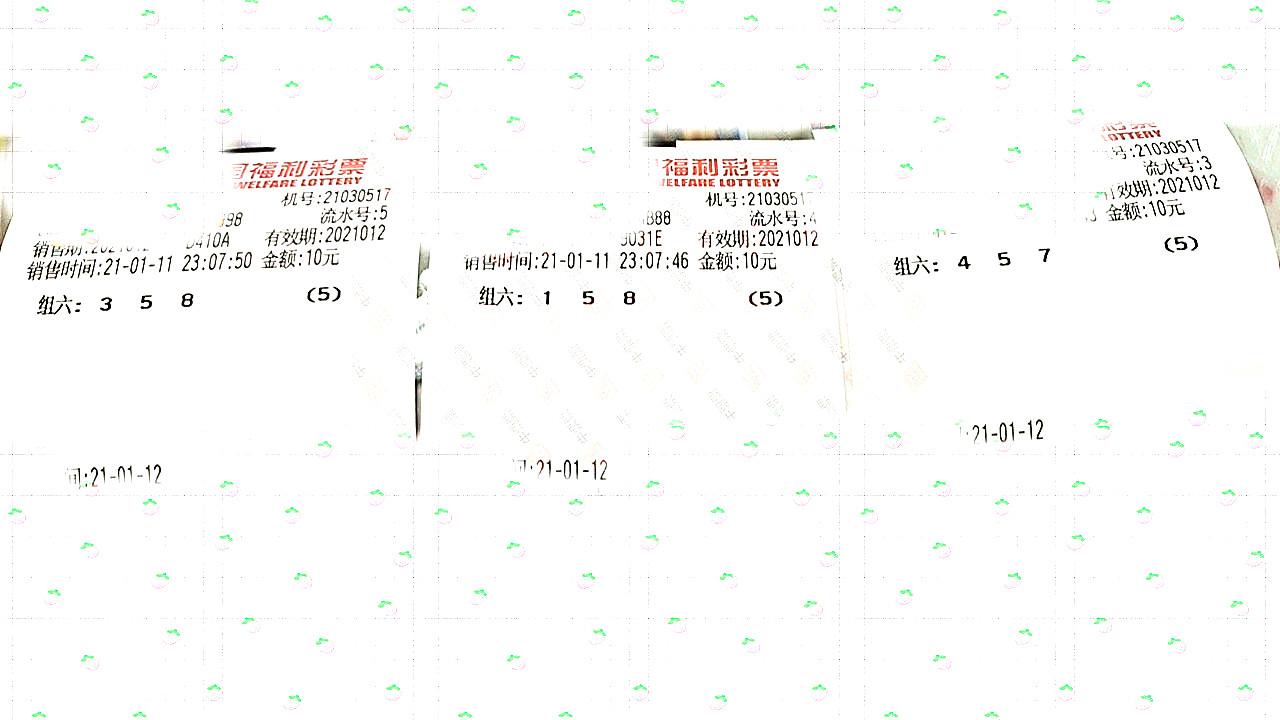 回顾与查询，2019年3D开奖结果全面解析