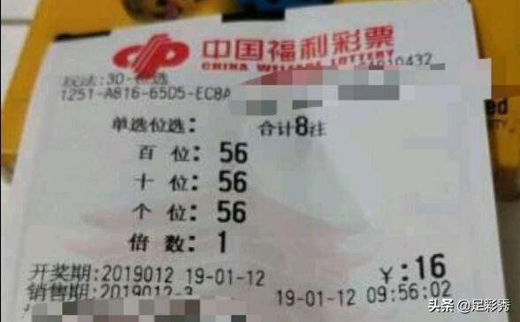 最新大乐透开奖结果号揭晓，幸运者的狂欢与期待