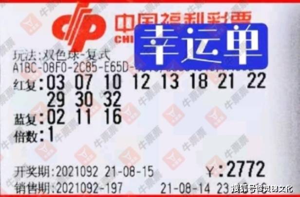 双色球的世界，色球魅力与开奖结果解析