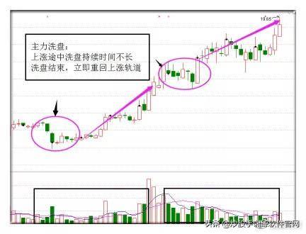 澳门彩票网站下载官方版大全最新免费最新版，探索彩票世界的门户