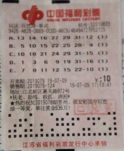 双色球彩票的奥秘，关于第31期双色球是否开奖的探讨
