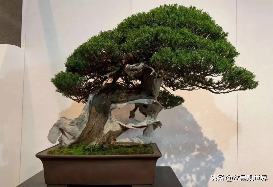 背后的故事