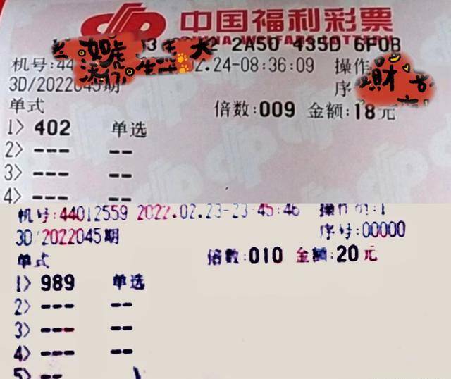 探索3D天天彩图，一语定三码的魅力