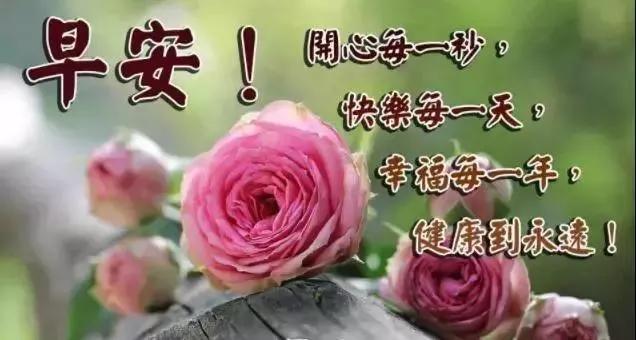 开机号近十期福彩一定牛——揭秘彩票背后的秘密与策略