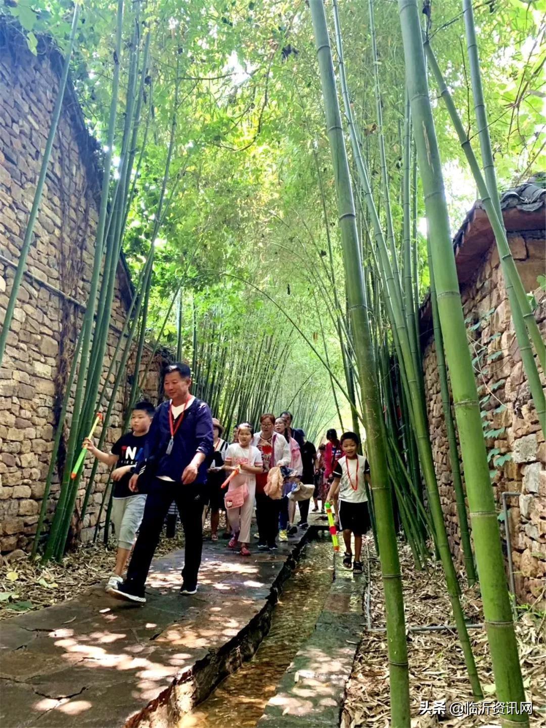山东彩票齐鲁风采，欢迎您下载体验