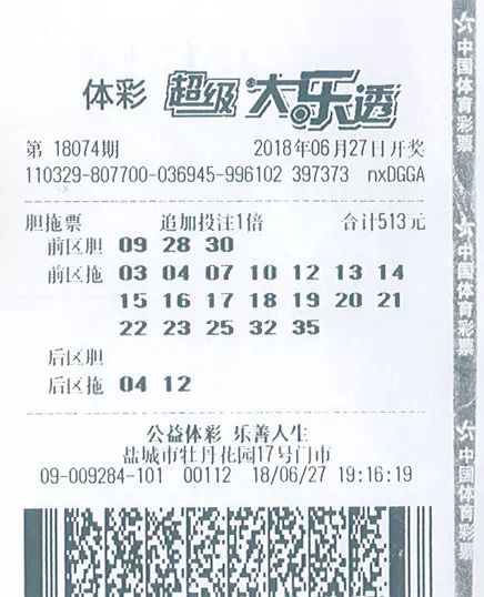 大乐透遗漏数据表，揭示彩票背后的秘密