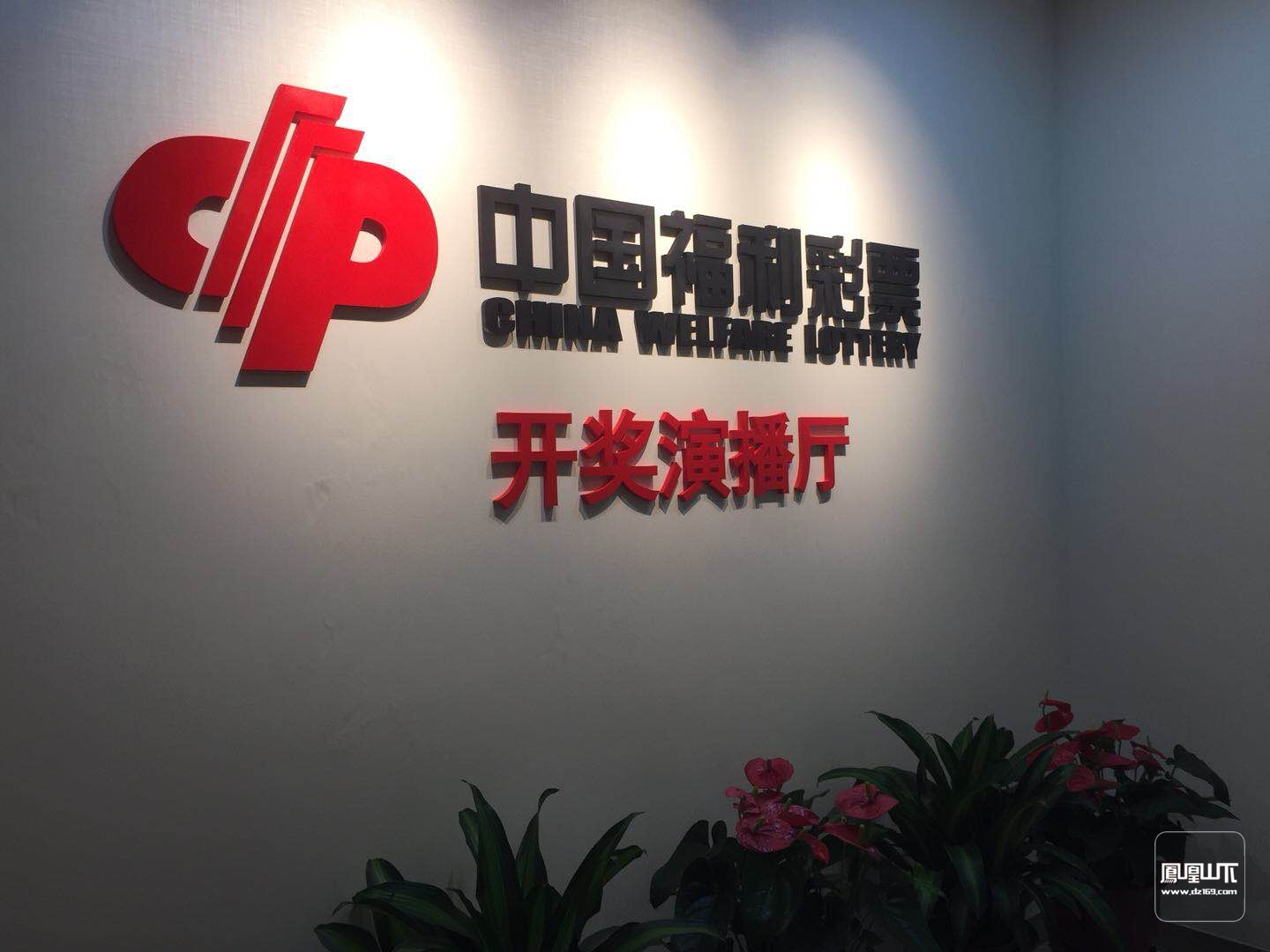 地方彩票开奖大厅——见证梦想与希望之地