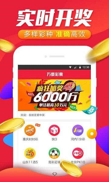 乐赢网彩票网站，探索数字彩票的新纪元