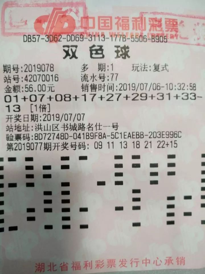 双色球密码计算，揭秘彩票背后的数字逻辑