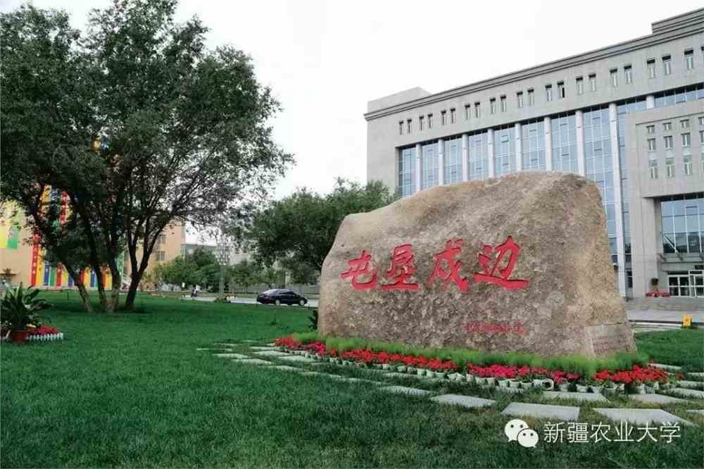 新疆农业大学，一本之定位与发展