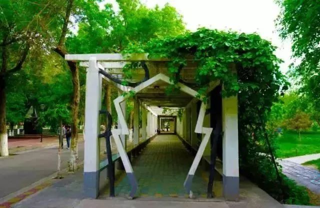 新疆农业大学，探索与成长之地