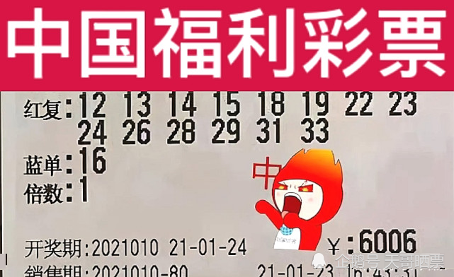 双色球开奖结果揭秘，第05期的惊喜与期待