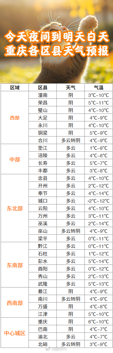 2025年6月1日 第10页